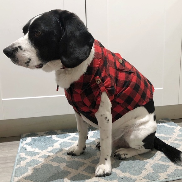 Dog Shirt: CANADIANA Buffalo plaid flannel shirt - size ‘Large’ - Picture 6 of 16
